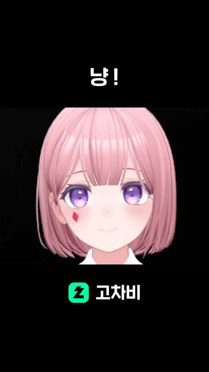냥 !