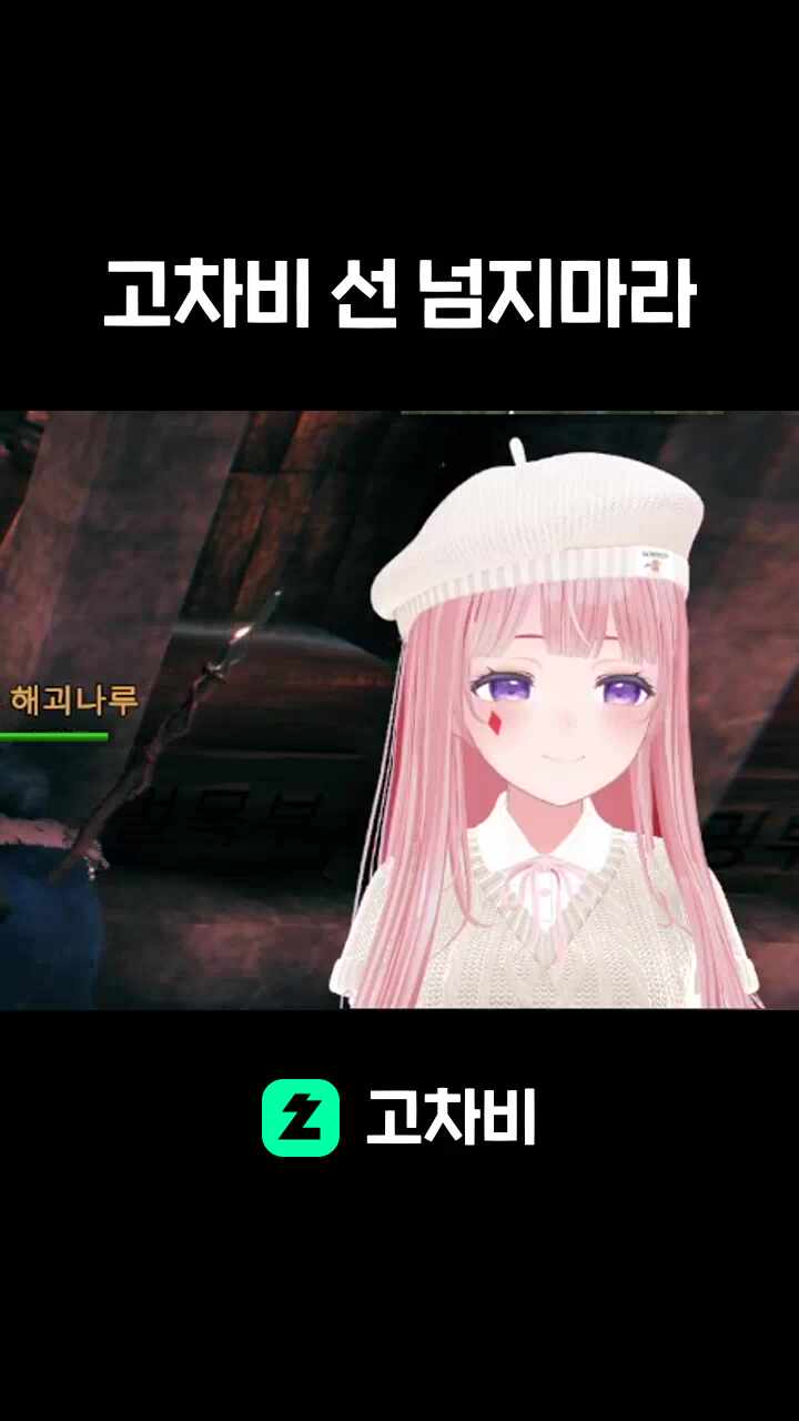 고차비 선 넘지마라