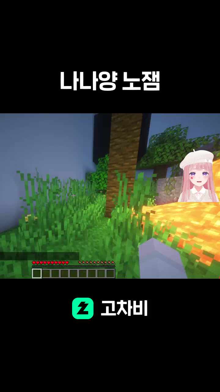 나나양 노잼