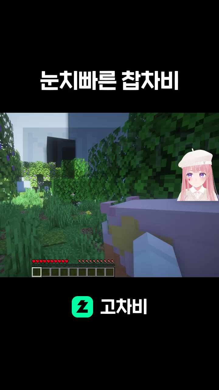 눈치빠른 찹차비