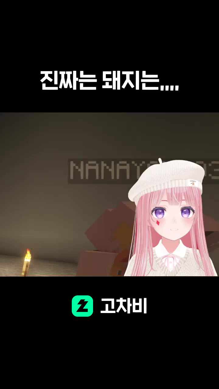 진짜는 돼지는,,,,