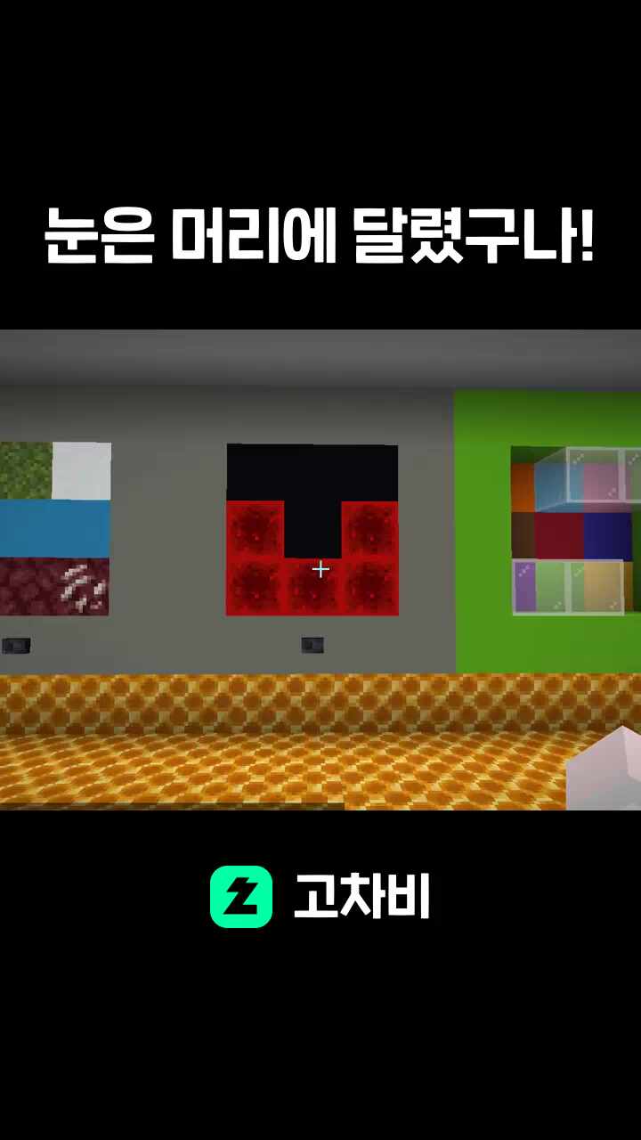 눈은 머리에 달렸구나!