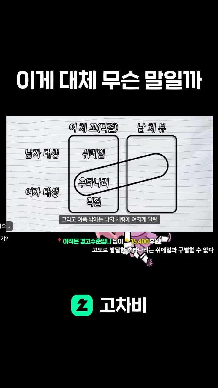이게 대체 무슨 말일까