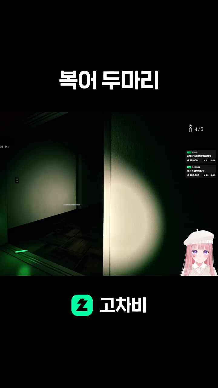 복어 두마리