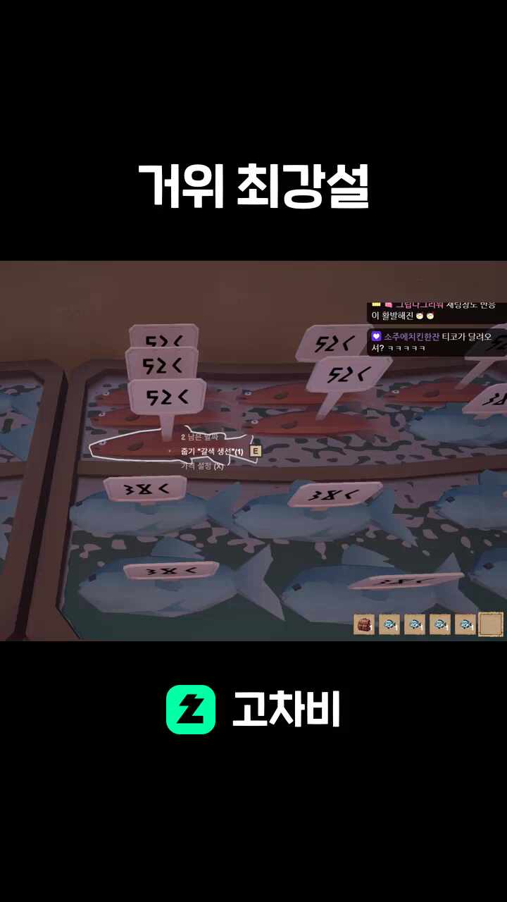 거위 최강설