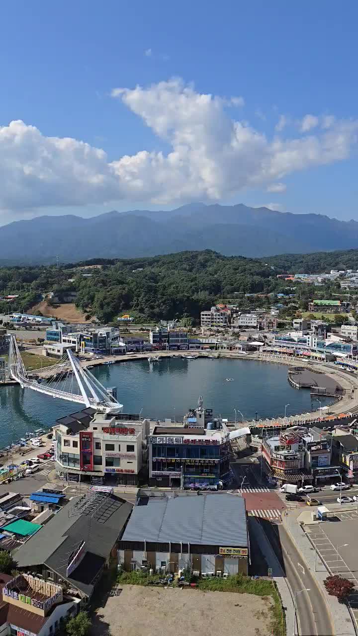 대포항 (Daepohang) 6