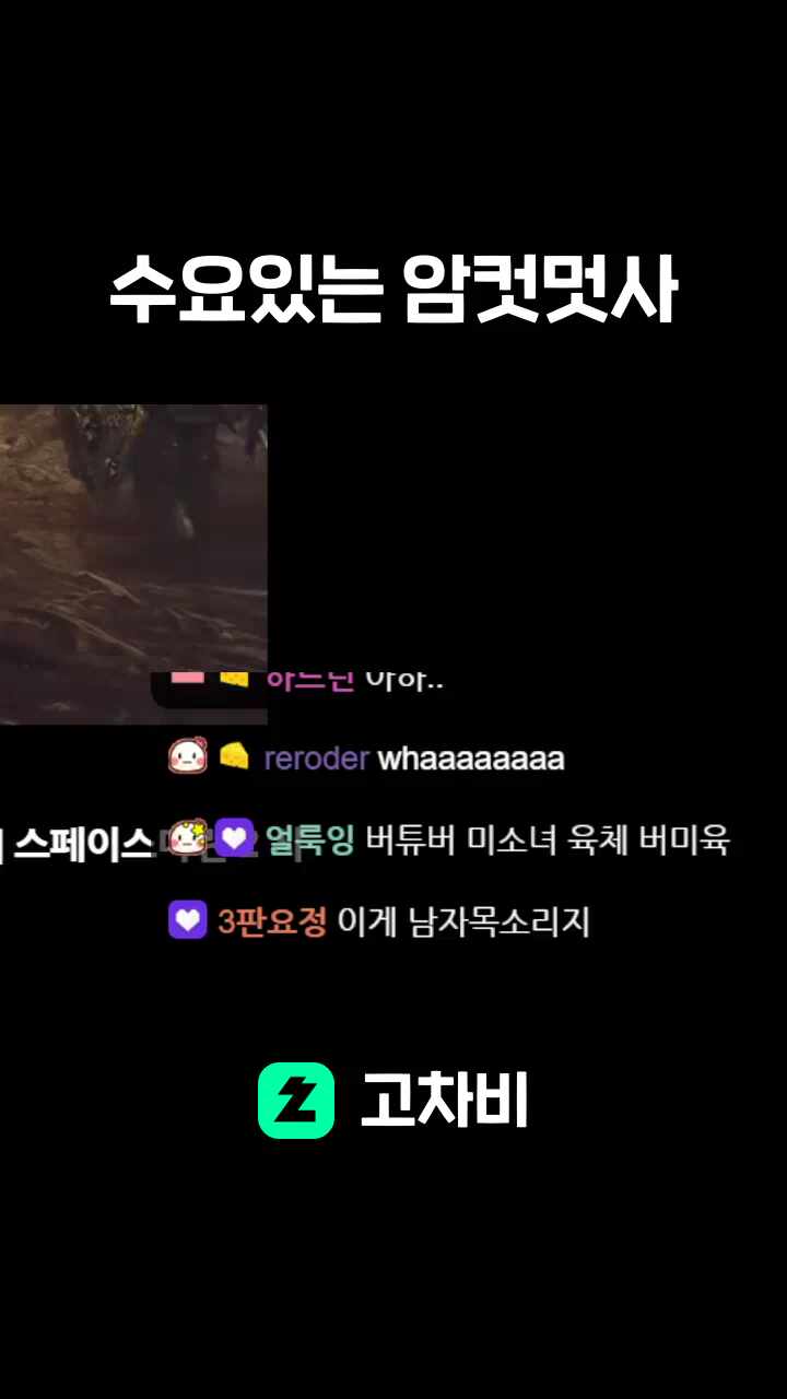 수요있는 암컷멋사