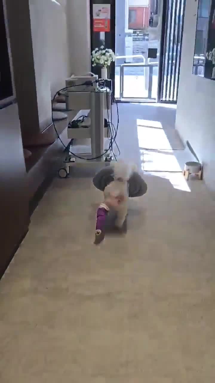 리뷰 사진 2