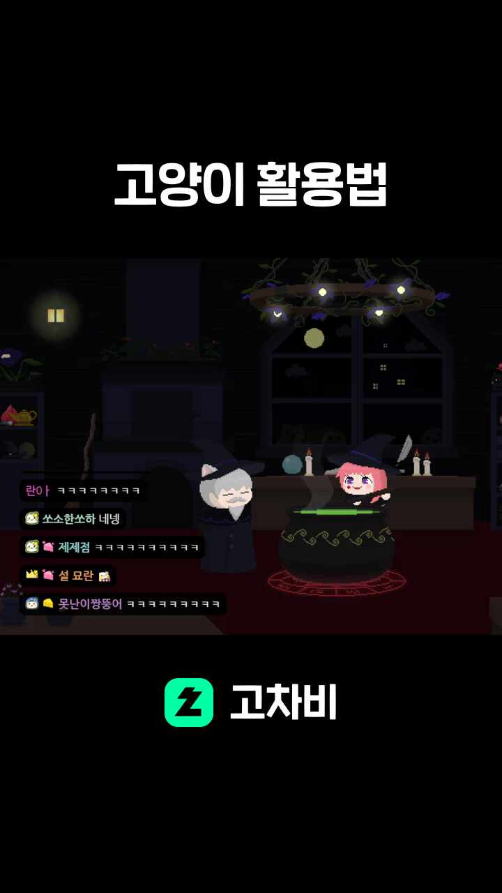 고양이 활용법