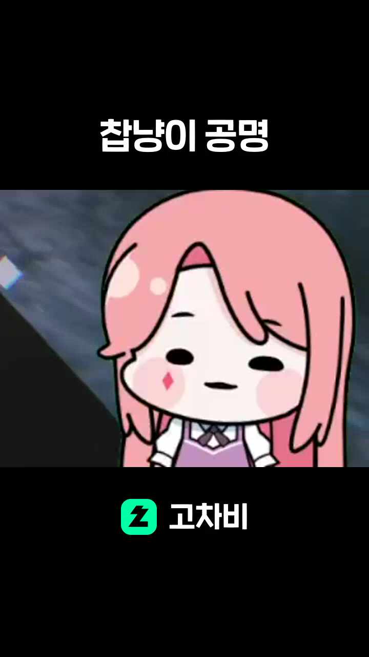 찹냥이 공명