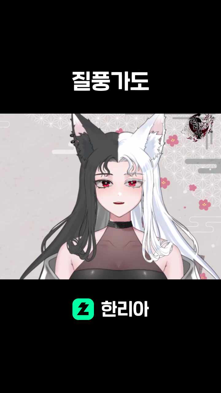 질풍가도