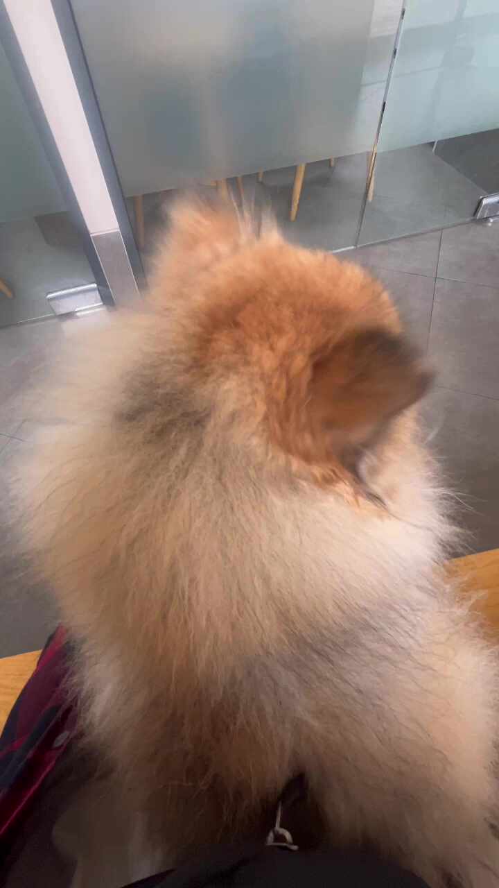 리뷰 사진 1