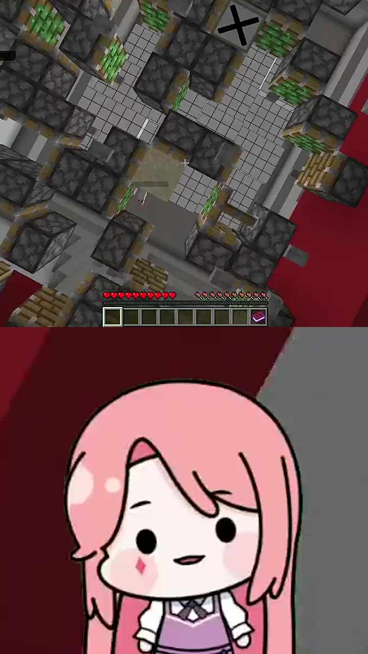무...물코기