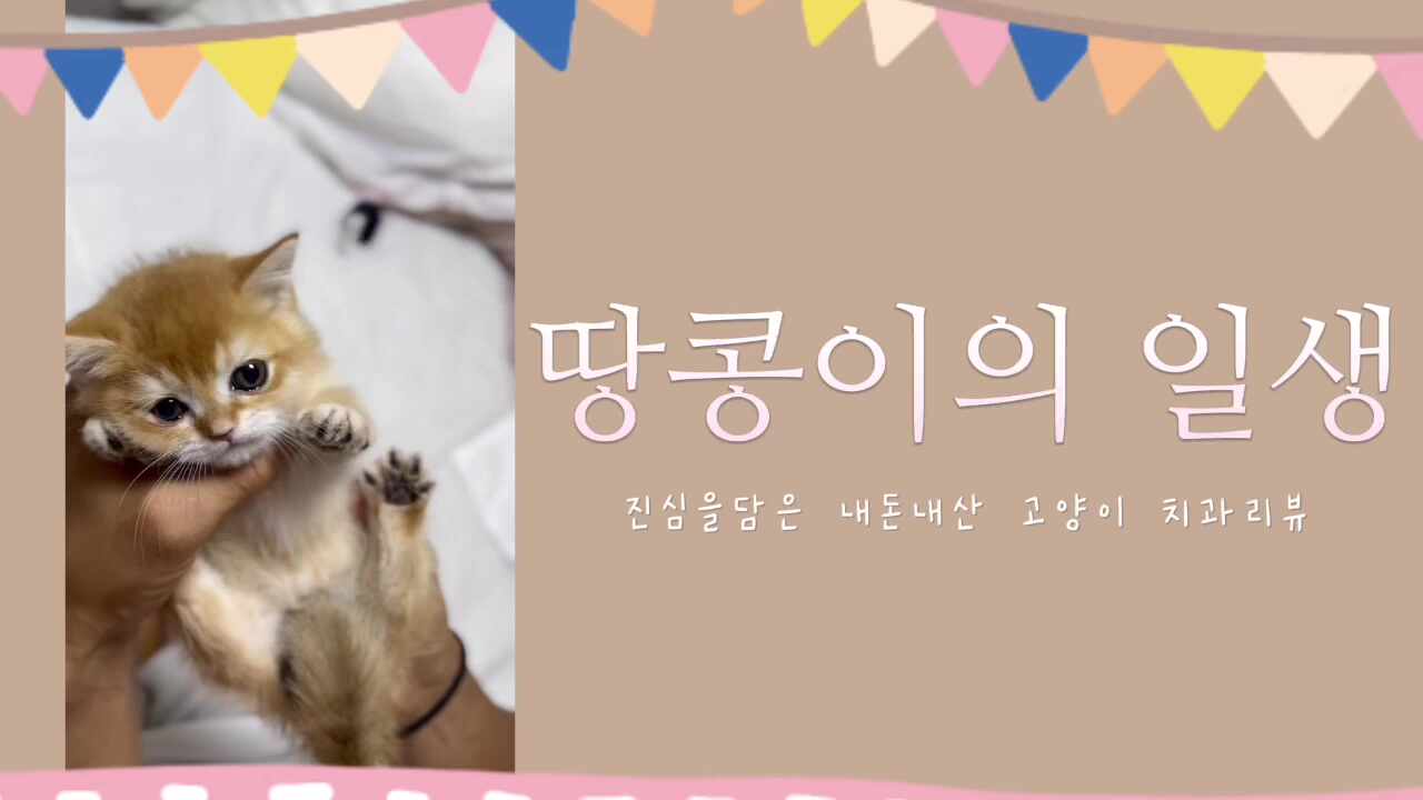 리뷰 사진 4
