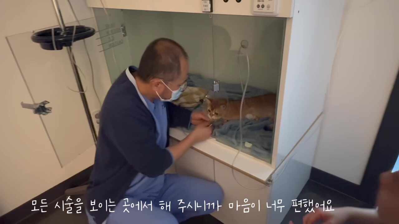 리뷰 사진 6