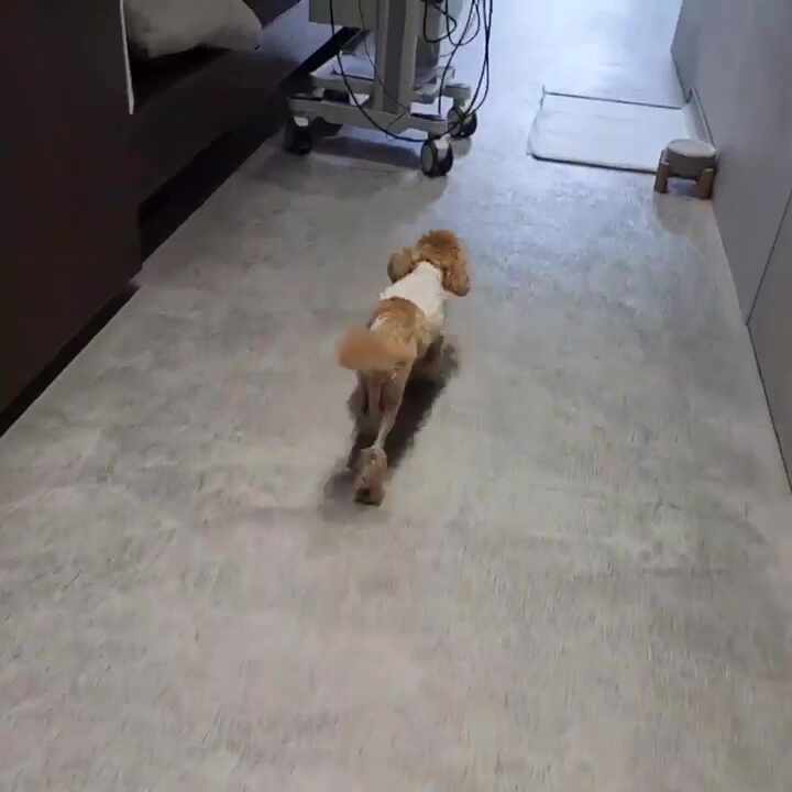 리뷰 사진 1