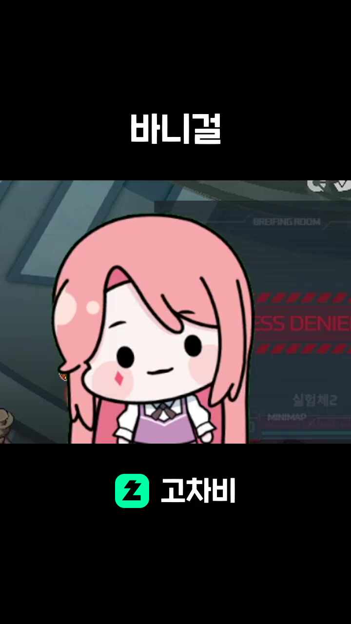 바니걸