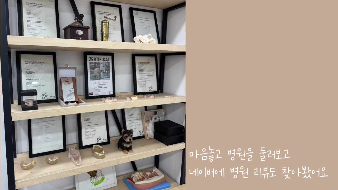 리뷰 사진 7