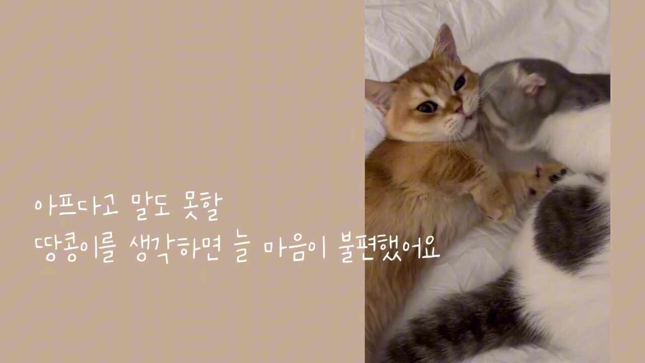 리뷰 사진 5