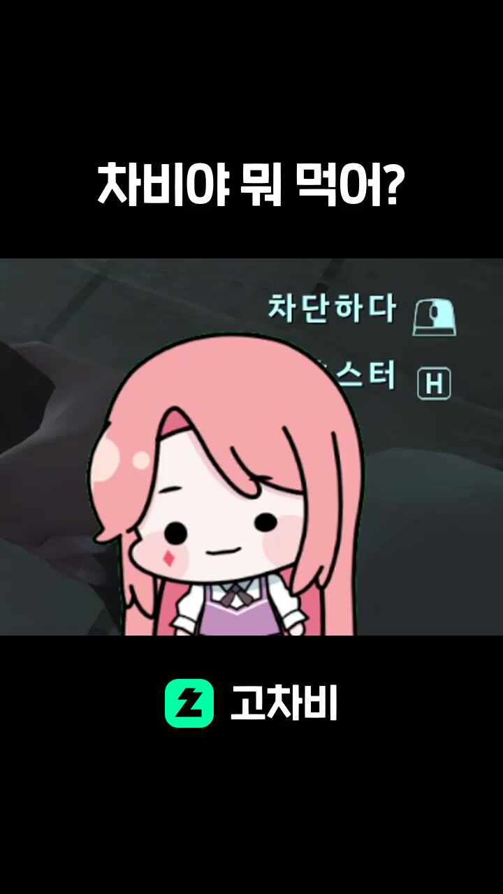 차비야 뭐 먹어?