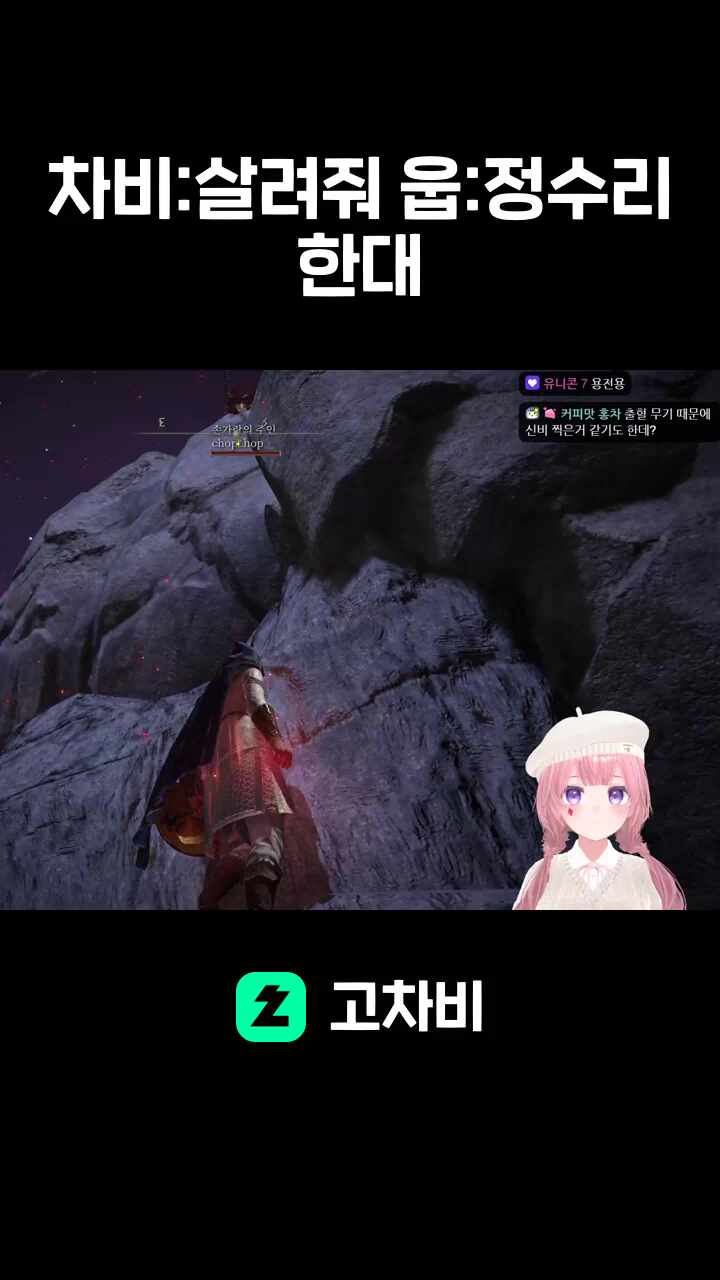 차비:살려줘 웁:정수리 한대
