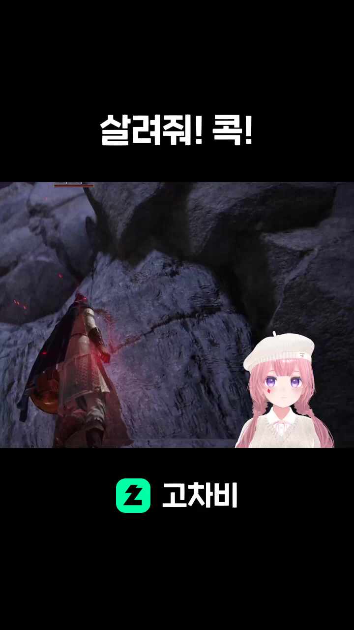 살려줘! 콕!