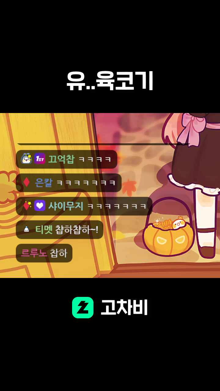 유..육코기