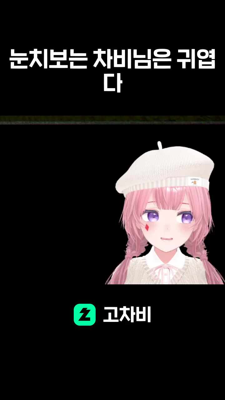 눈치보는 차비님은 귀엽다
