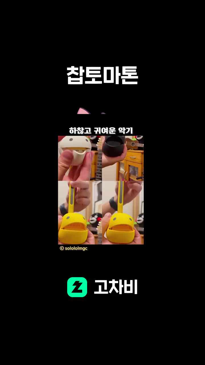 찹토마톤