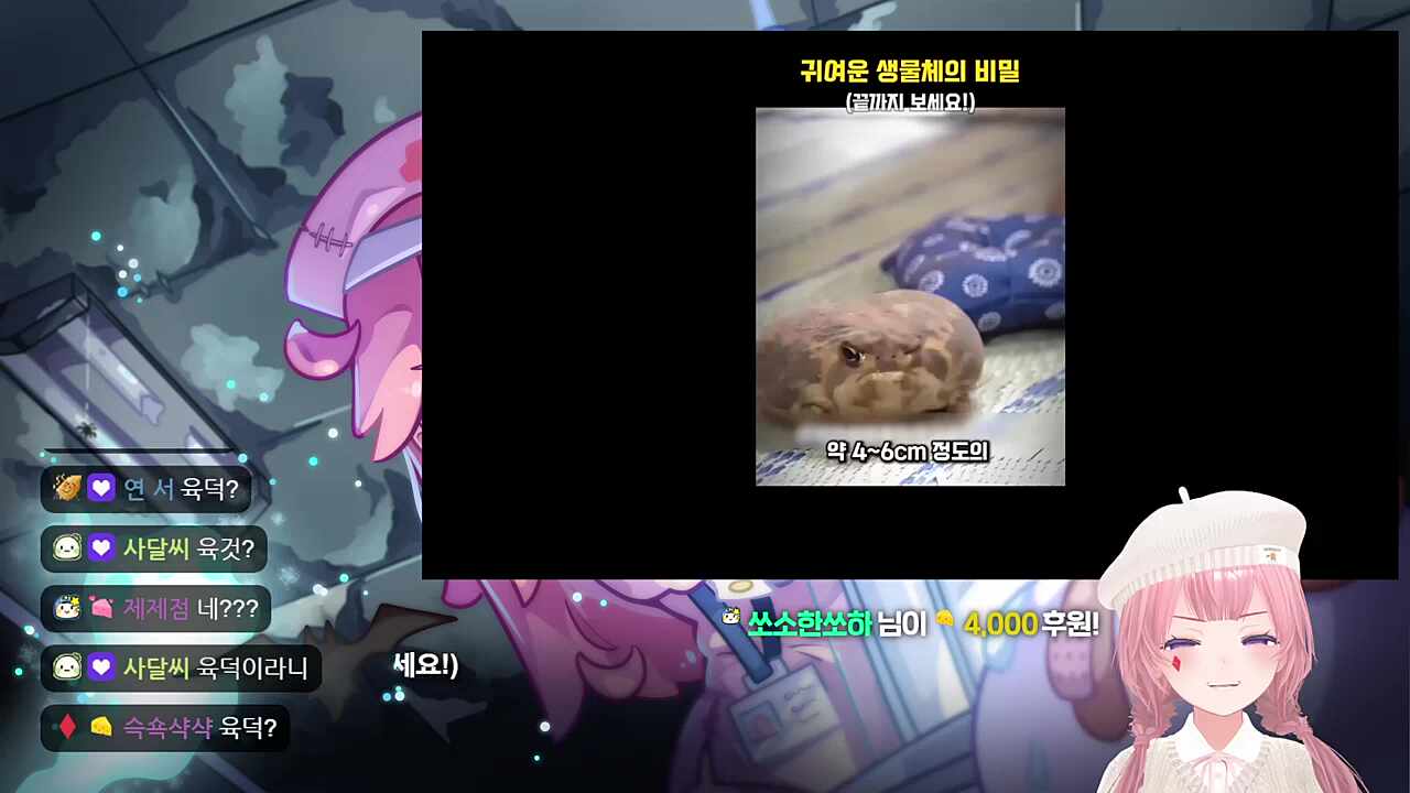귀여운 감자요정 보는 귀여운 찹님