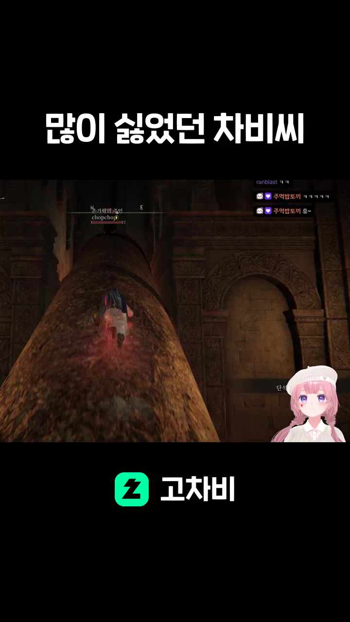 많이 싫었던 차비씨