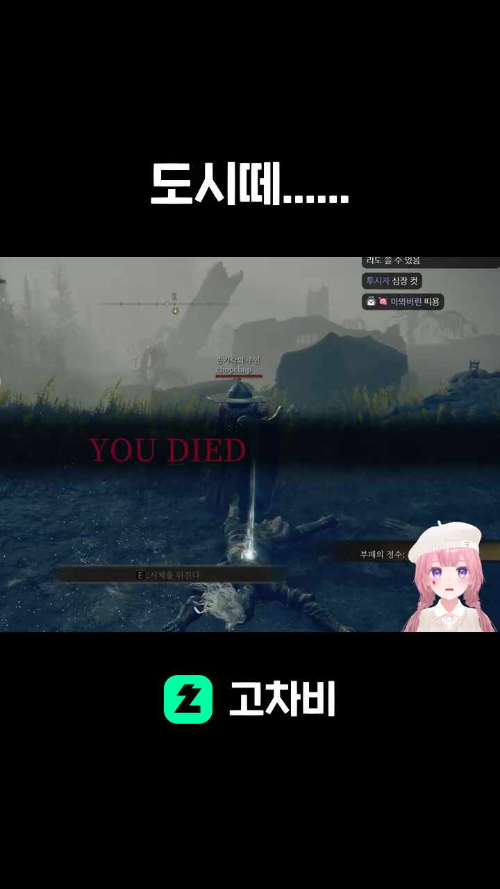 도시떼......
