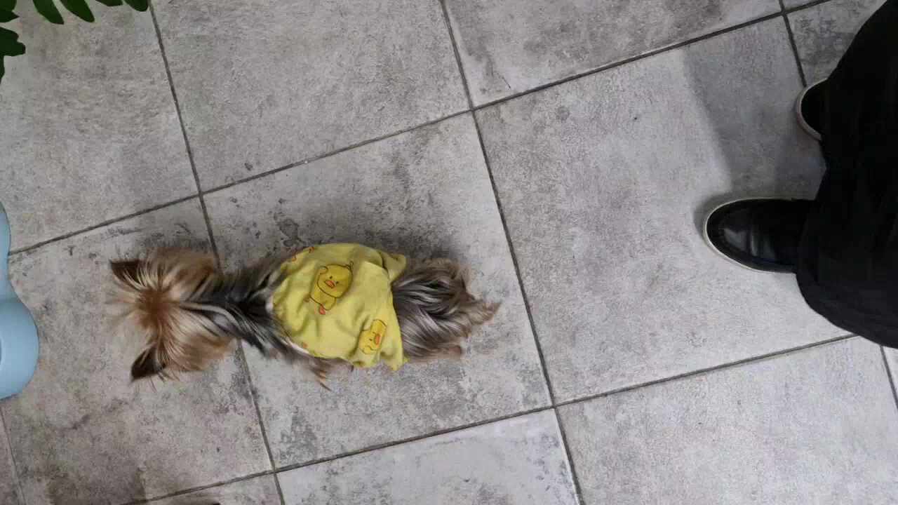 리뷰 사진 5