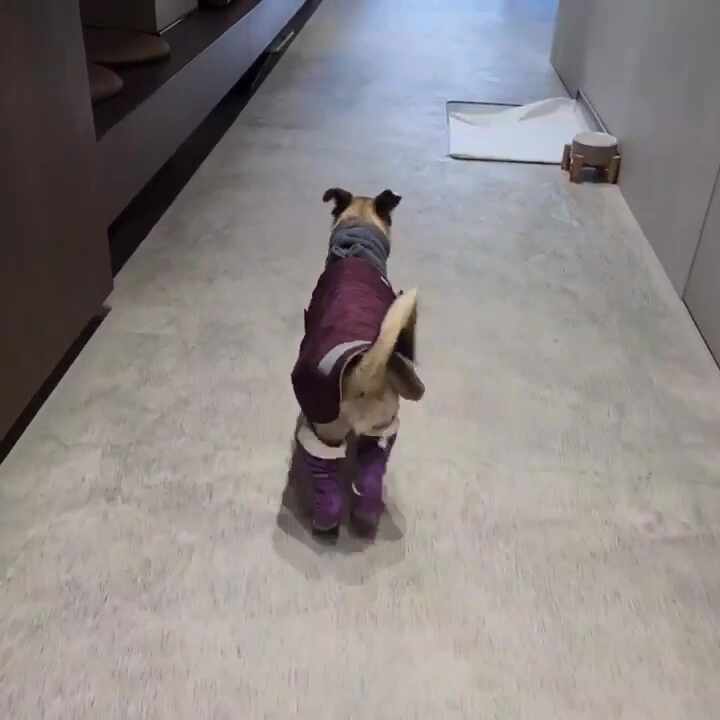 리뷰 사진 3