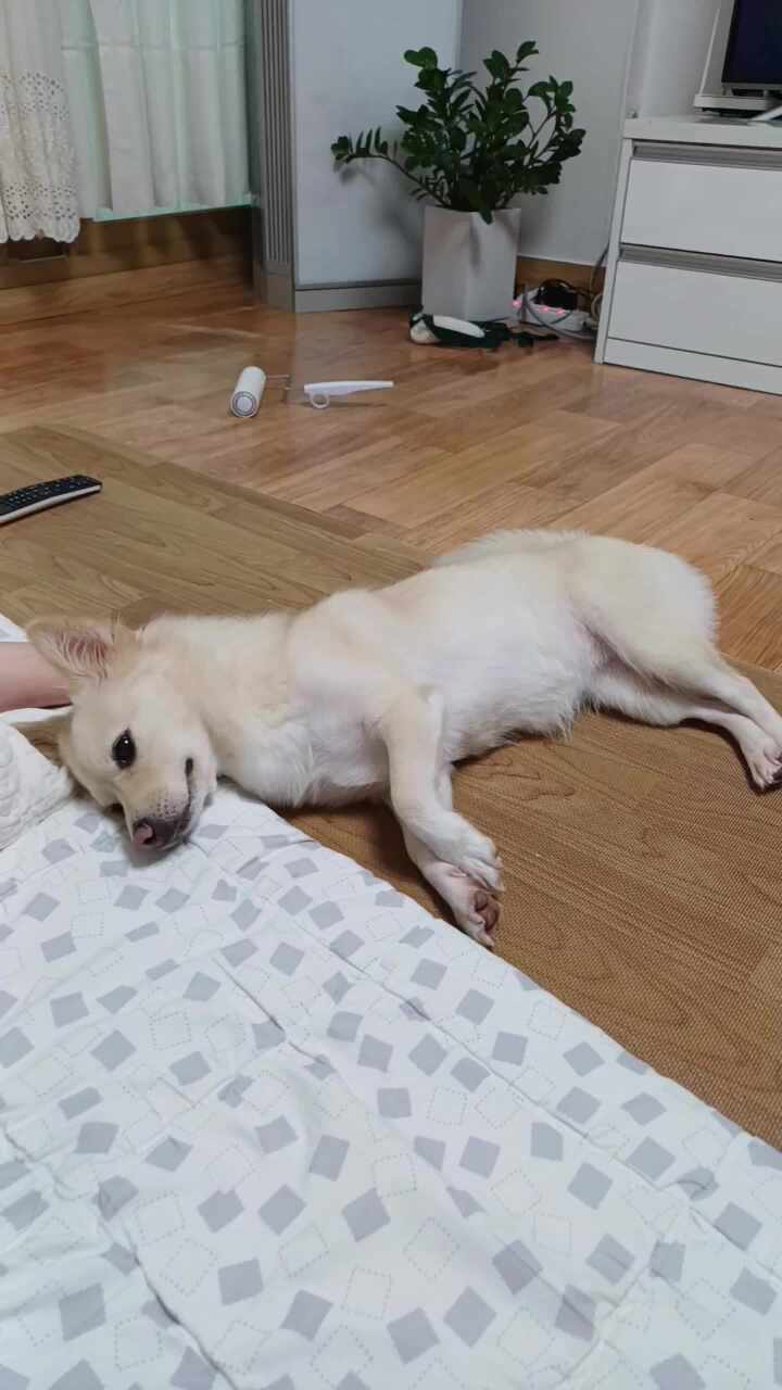 리뷰 사진 2