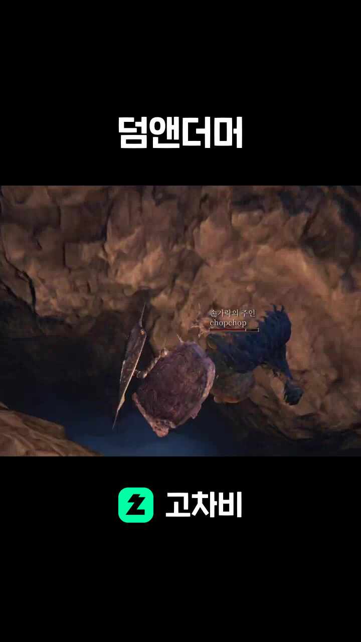 덤앤더머