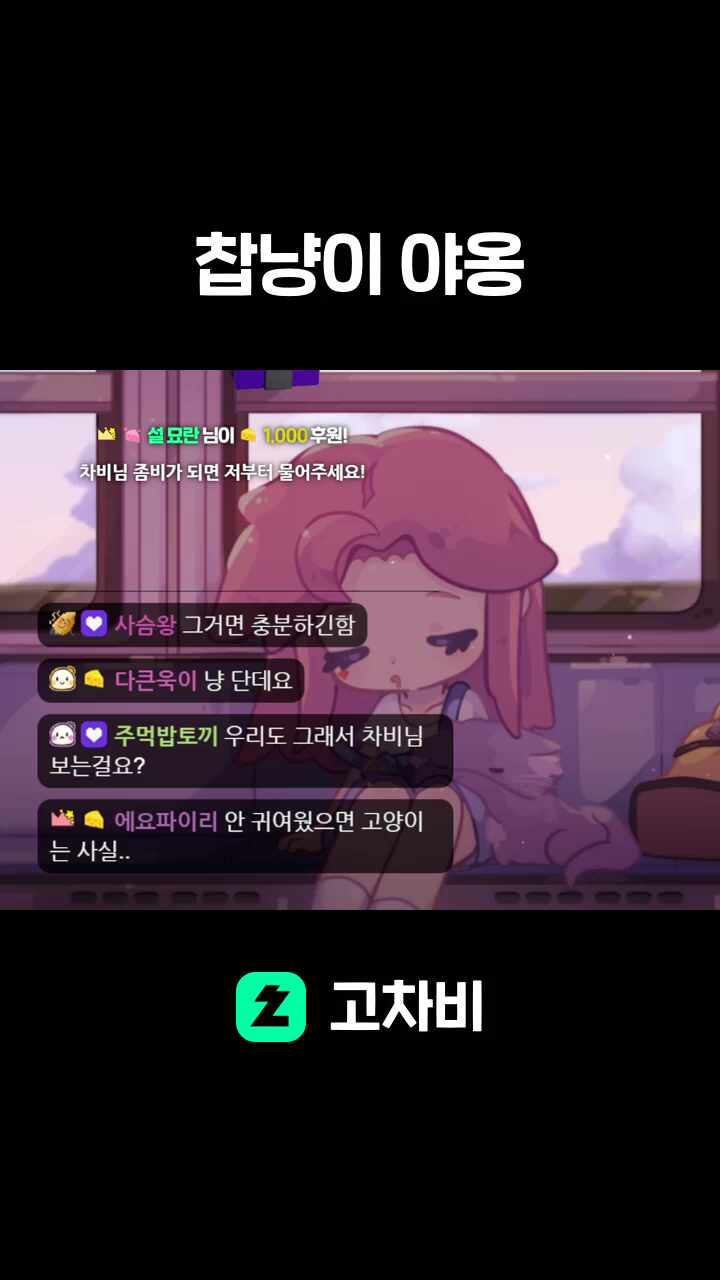 찹냥이 야옹
