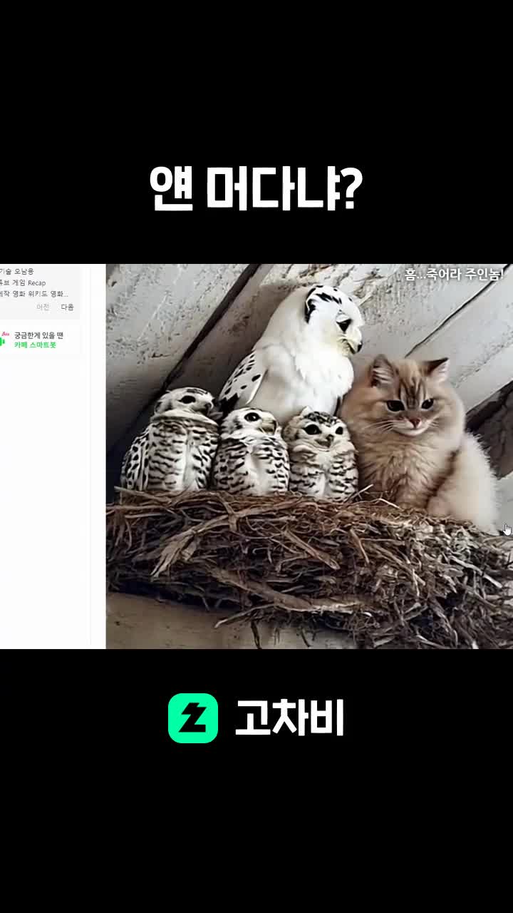 얜 머다냐?
