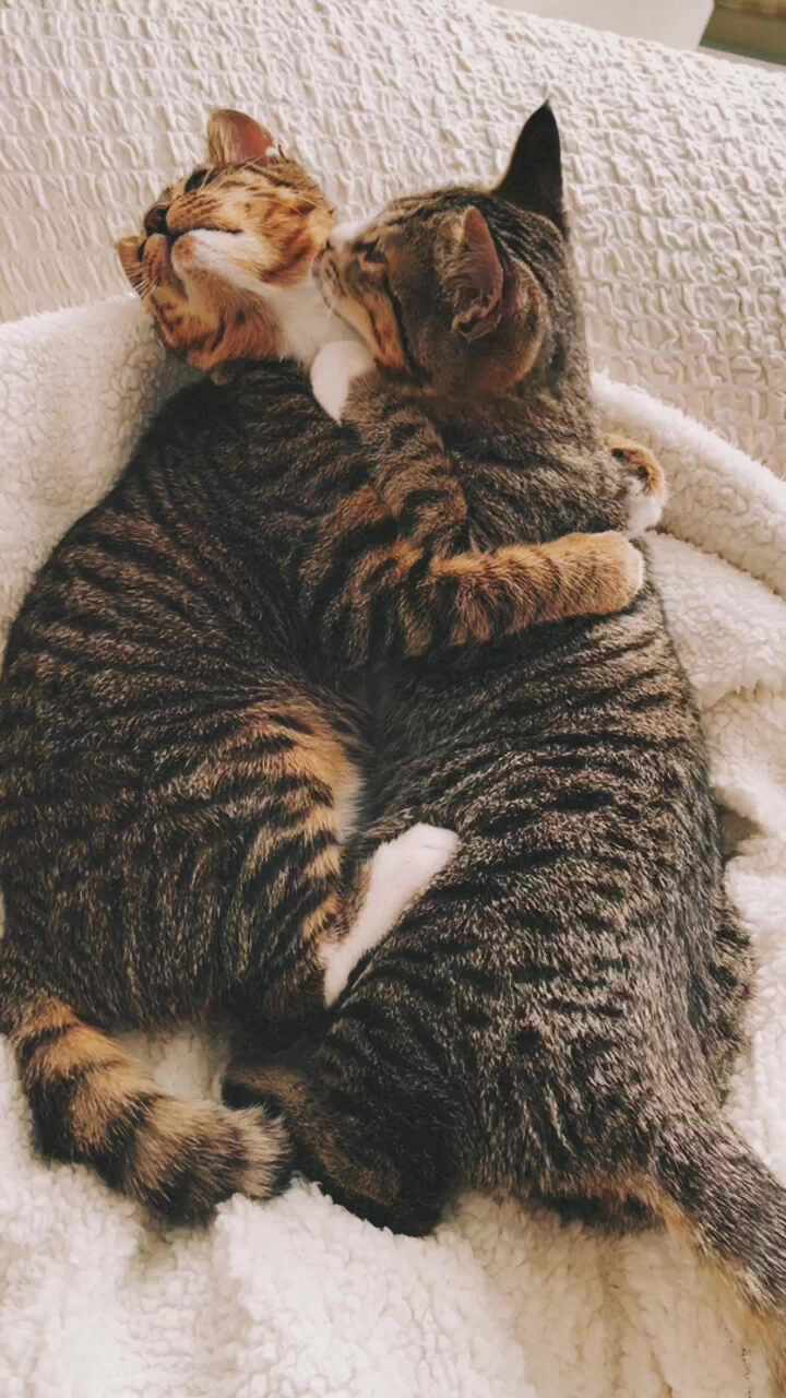 리뷰 사진 1