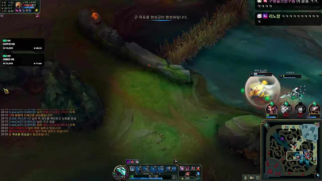 돌고래쇼