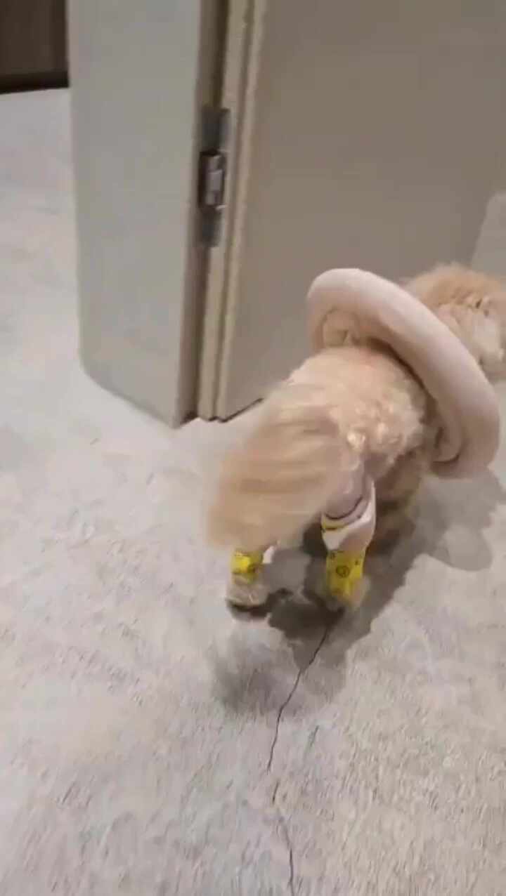 리뷰 사진 3
