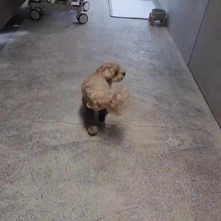 리뷰 사진 2