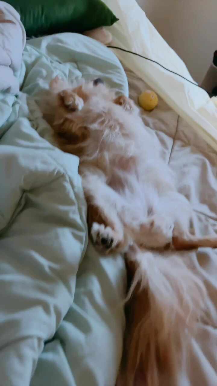 리뷰 사진 1
