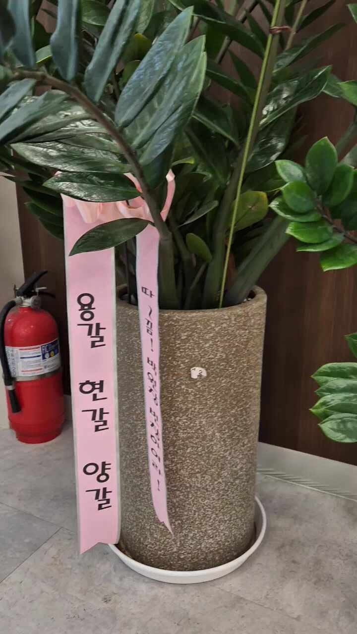 메이퓨어의원 김포장기점