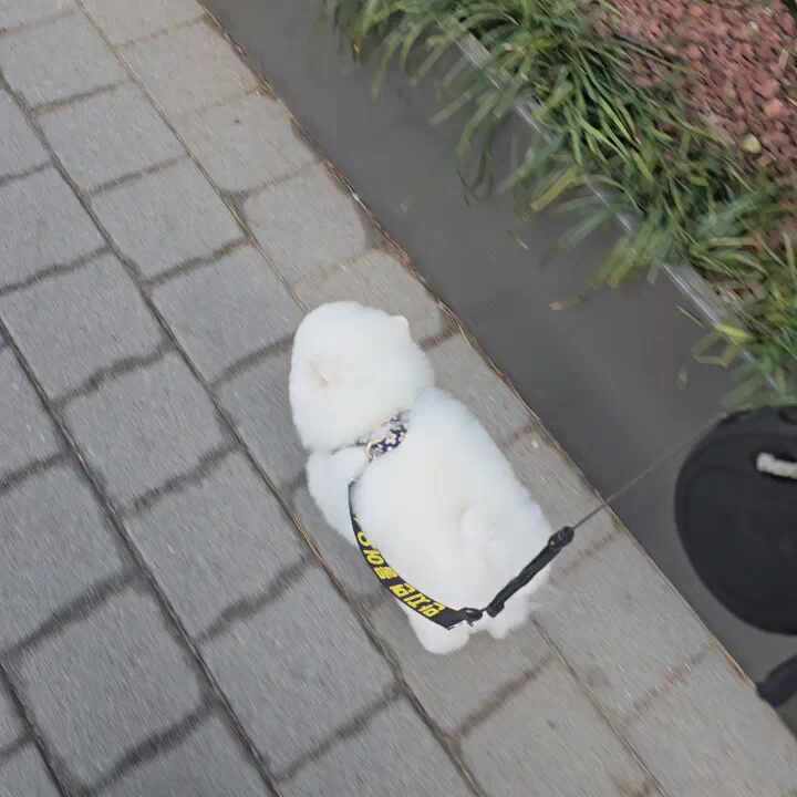 리뷰 사진 1