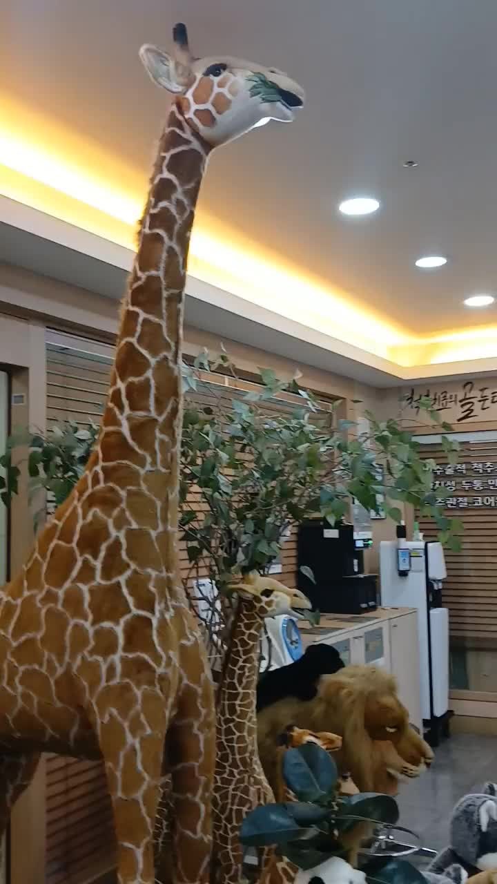 미래로으랏차정형외과의원