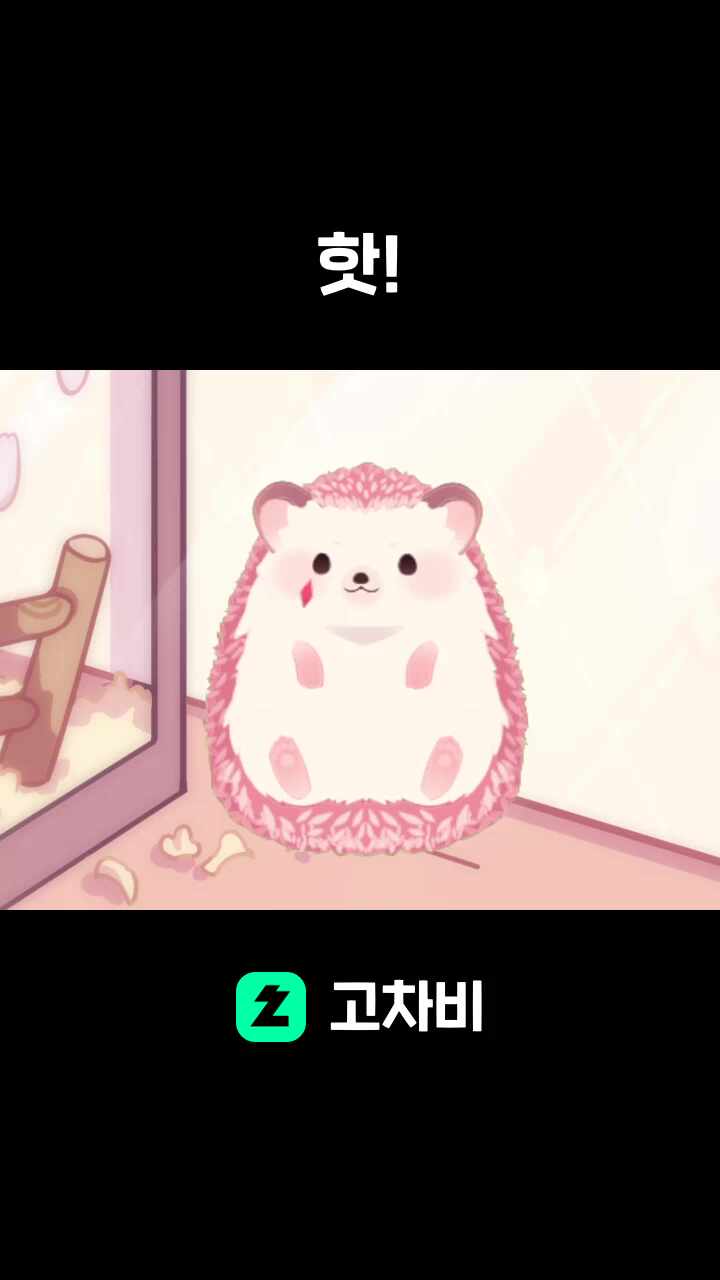 핫!
