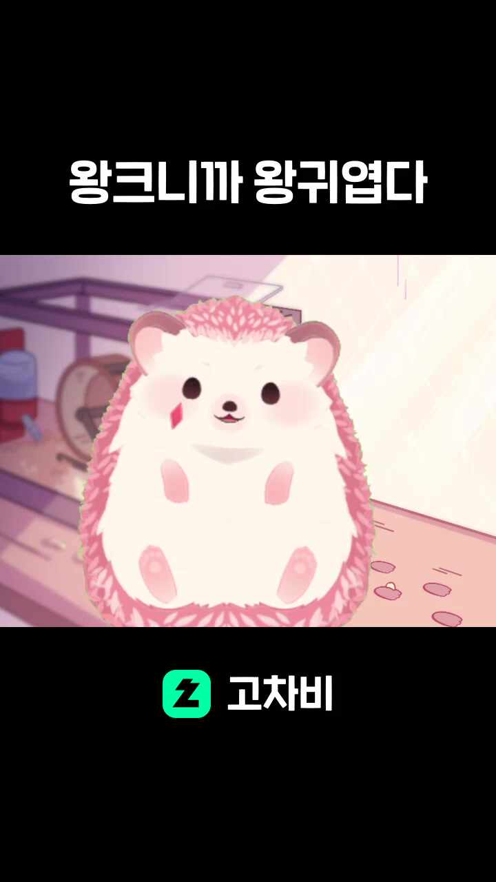 왕크니까 왕귀엽다