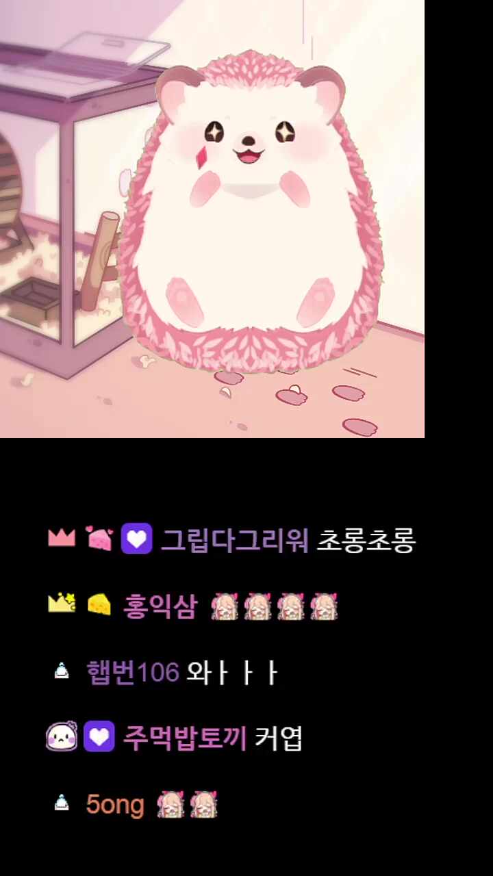찹슴도치 감정표현
