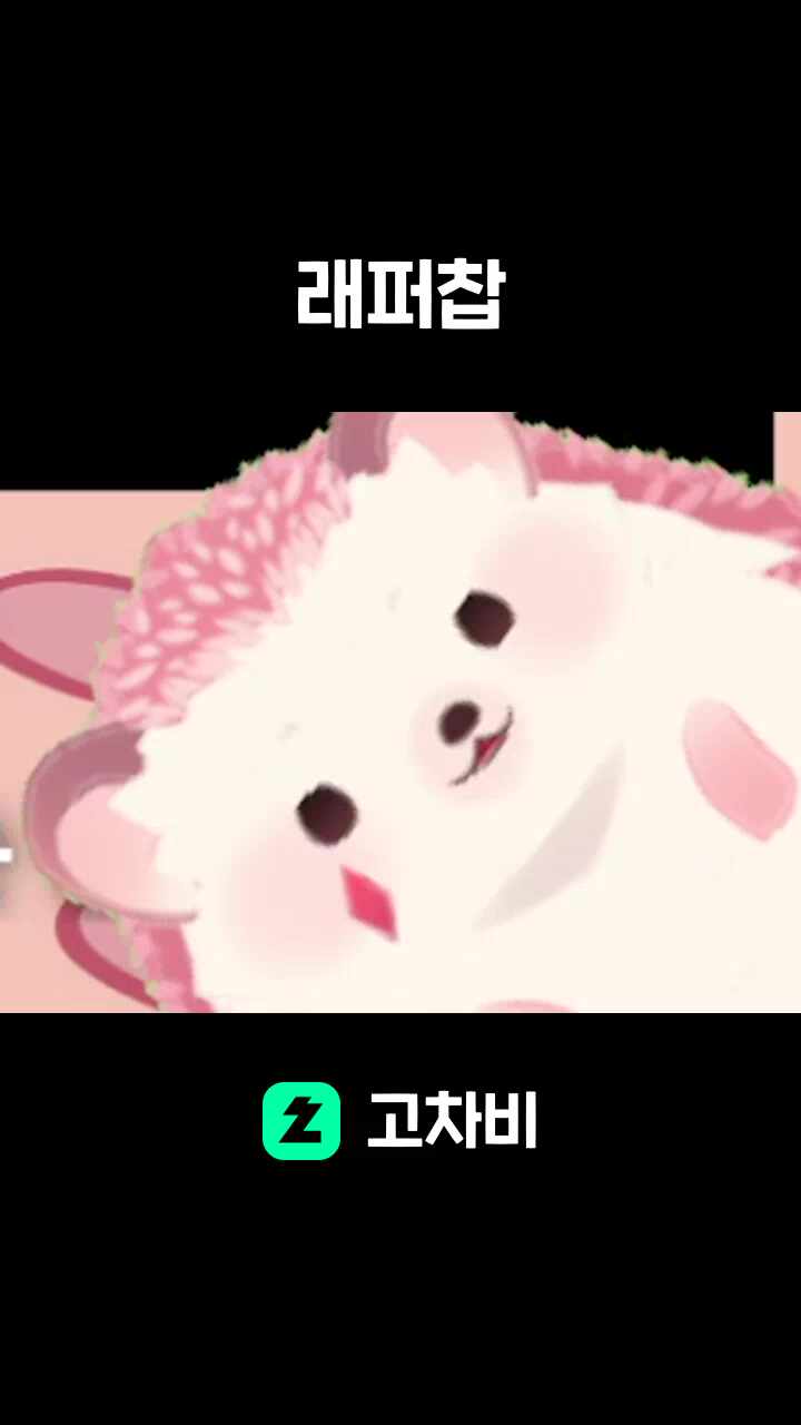 래퍼찹